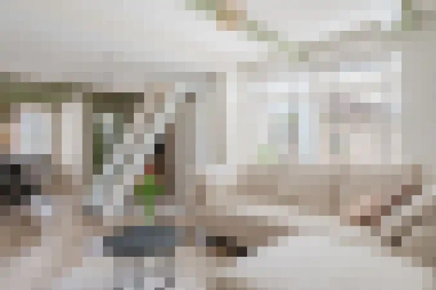 Dwerssteech 4 Woudsend thumbnail 17
