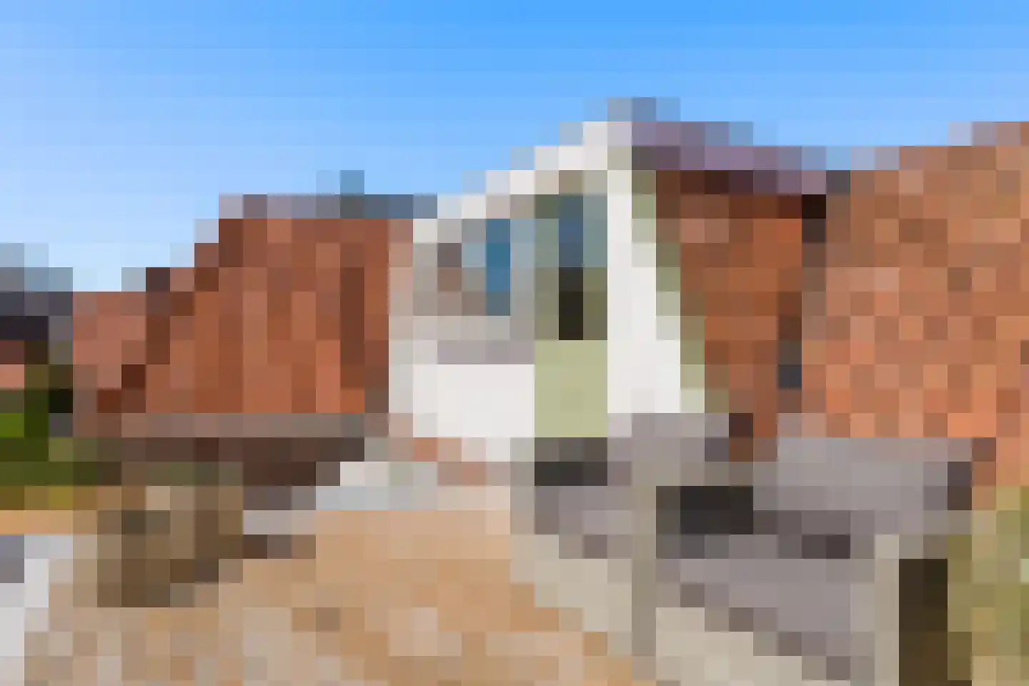 Dwerssteech 4 Woudsend thumbnail 25