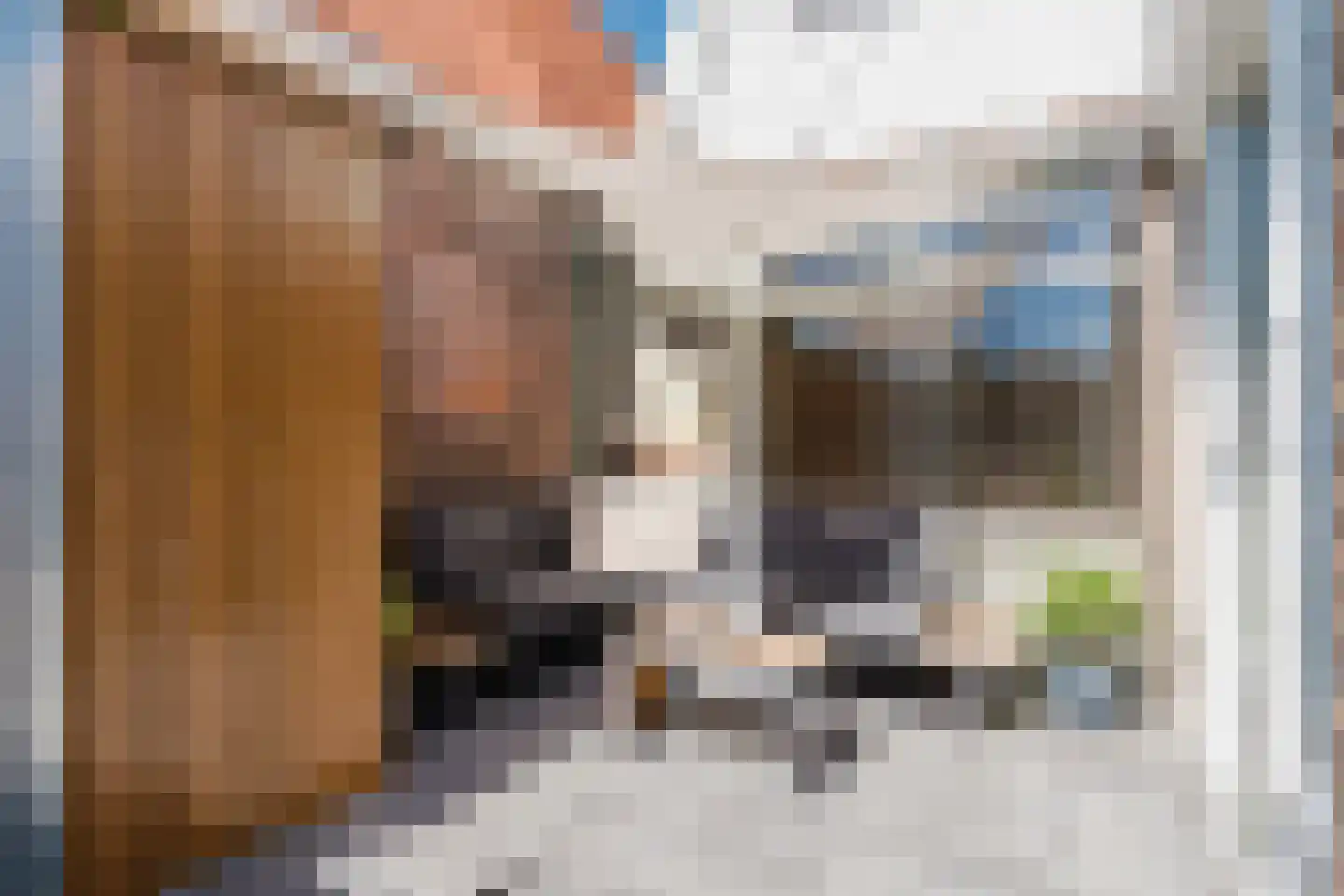 Dwerssteech 4 Woudsend thumbnail 29