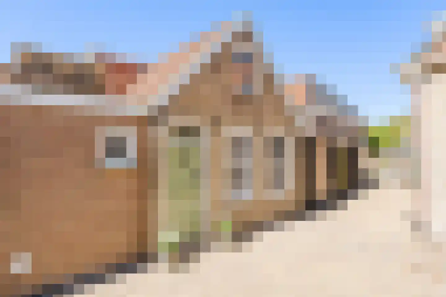 Dwerssteech 4 Woudsend thumbnail 7
