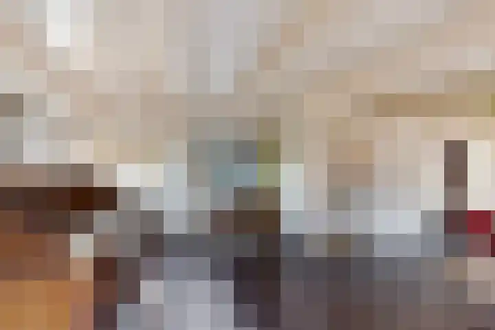 Dwerssteech 8 Woudsend thumbnail 12