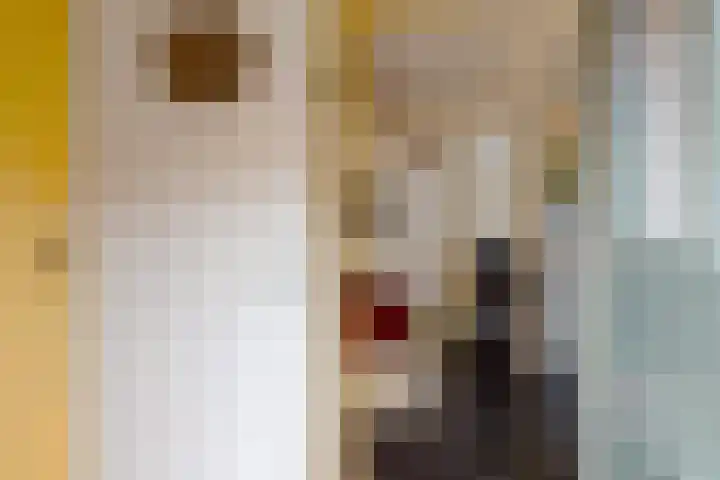 Dwerssteech 8 Woudsend thumbnail 13