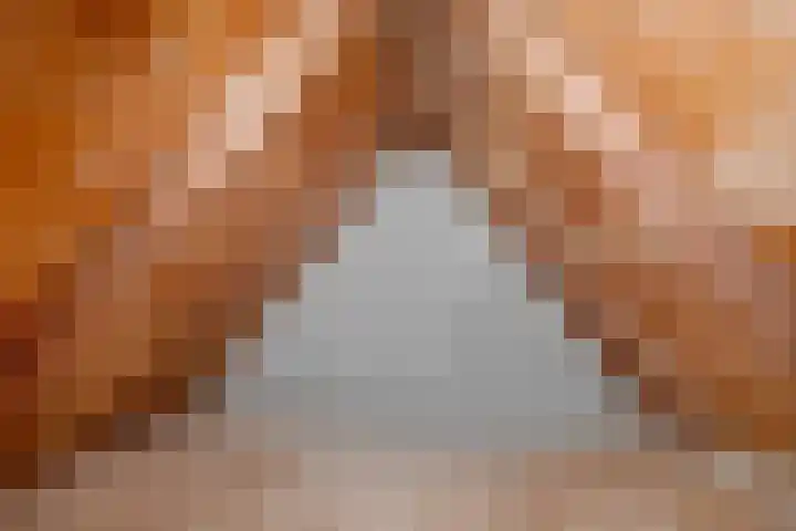 Dwerssteech 8 Woudsend thumbnail 24