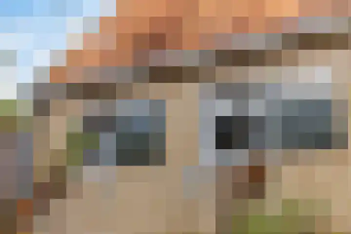 Dwerssteech 8 Woudsend thumbnail 30