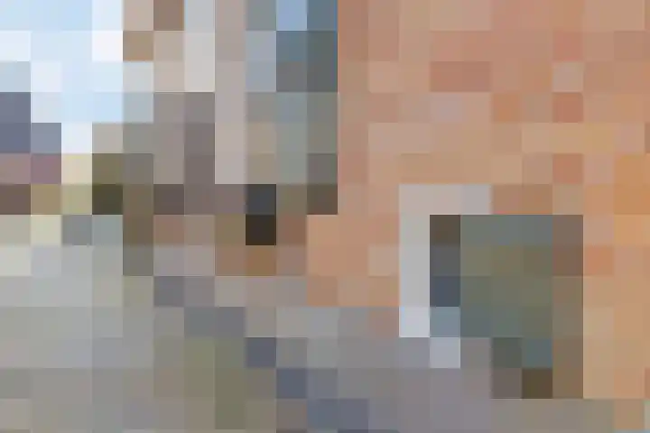 Dwerssteech 8 Woudsend thumbnail 34