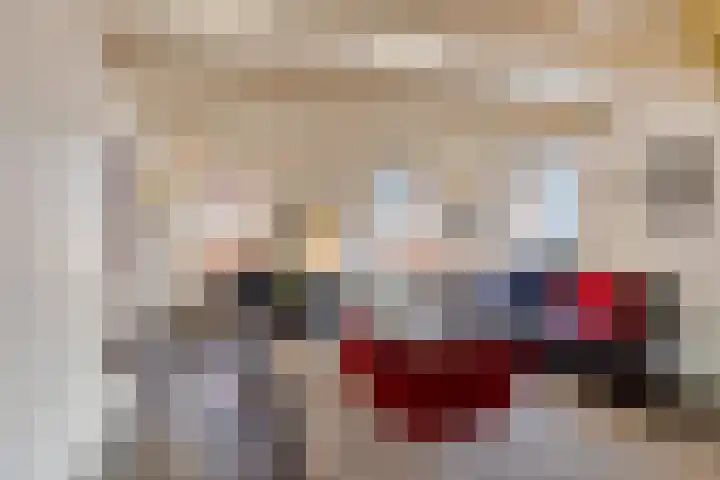 Dwerssteech 8 Woudsend thumbnail 4