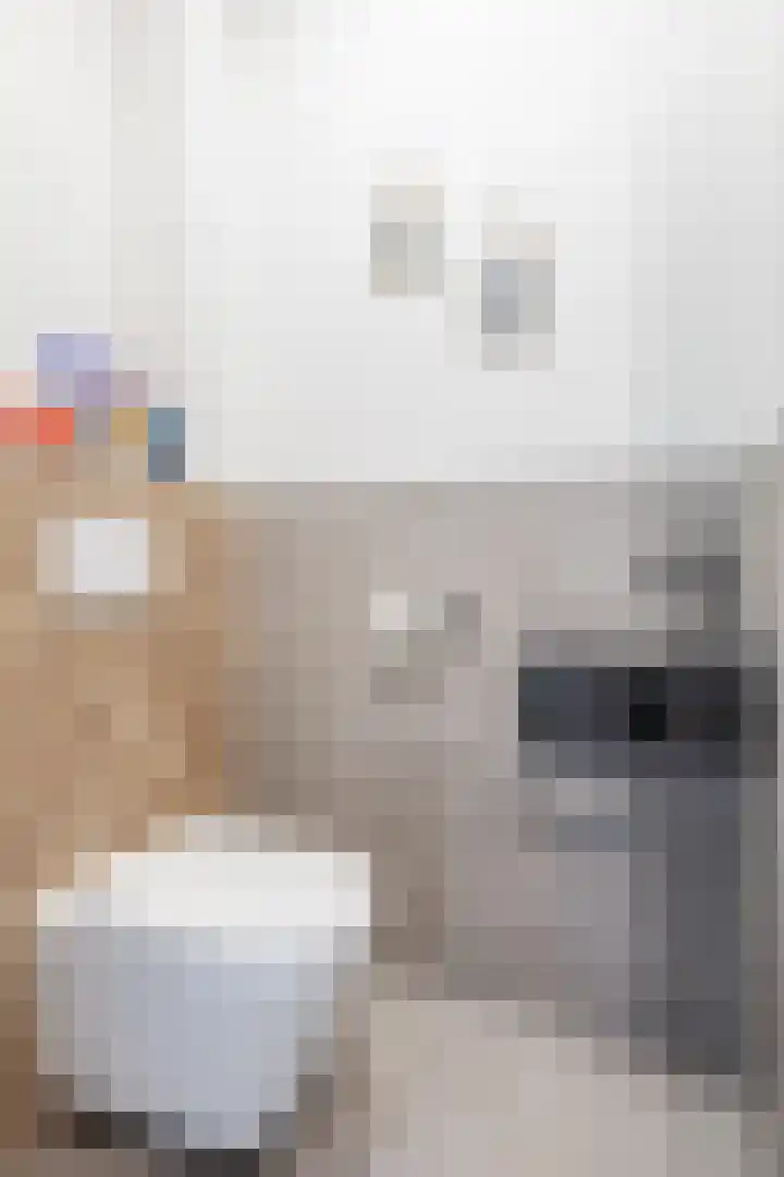 Dwingel 22 Steenbergen thumbnail 11
