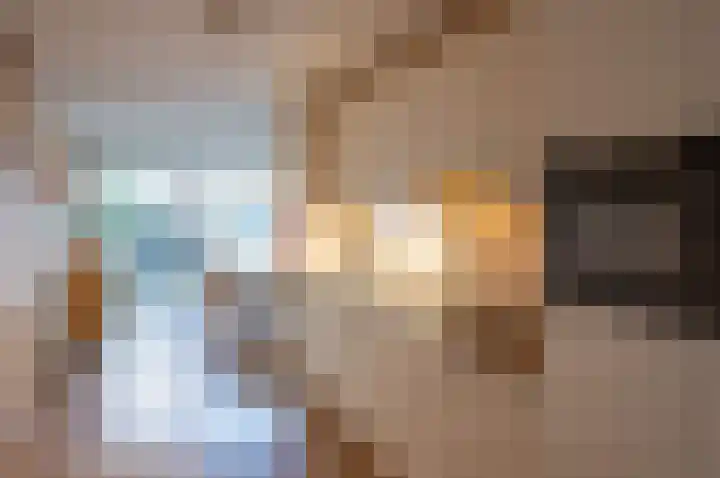 Dwingel 22 Steenbergen thumbnail 12