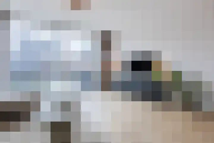 Dwingel 22 Steenbergen thumbnail 14