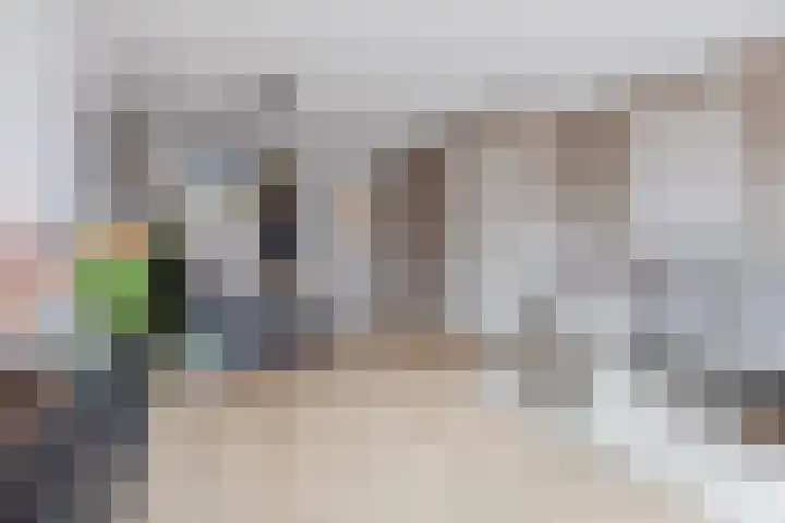 Dwingel 22 Steenbergen thumbnail 15