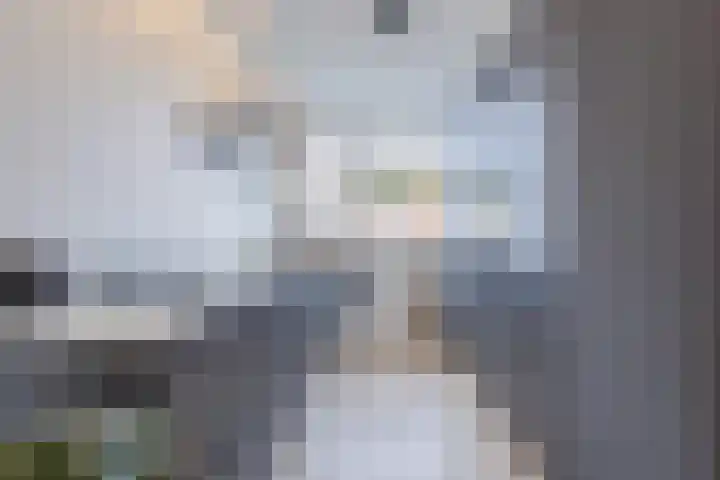 Dwingel 22 Steenbergen thumbnail 17