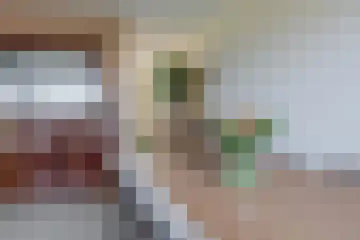 Dwingel 22 Steenbergen thumbnail 18