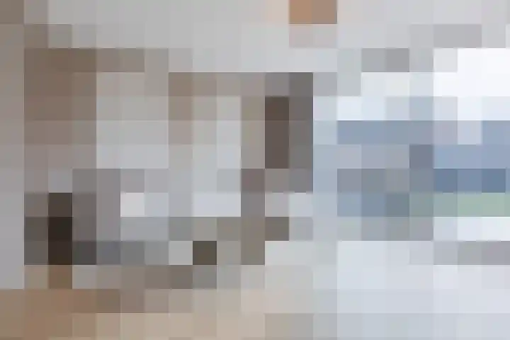 Dwingel 22 Steenbergen foto 2