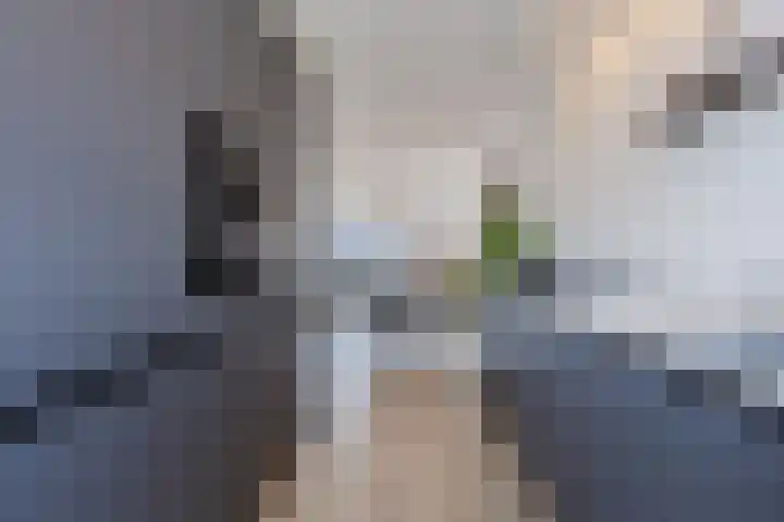 Dwingel 22 Steenbergen thumbnail 20