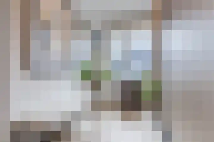 Dwingel 22 Steenbergen thumbnail 28