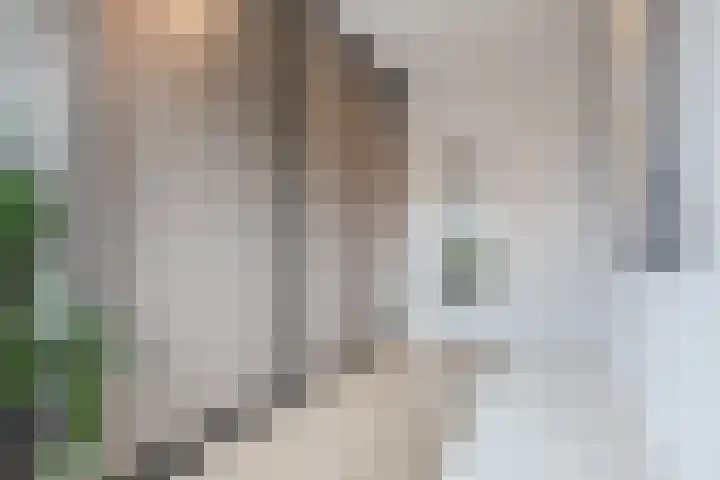 Dwingel 22 Steenbergen thumbnail 29