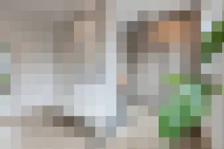 Dwingel 22 Steenbergen thumbnail 30