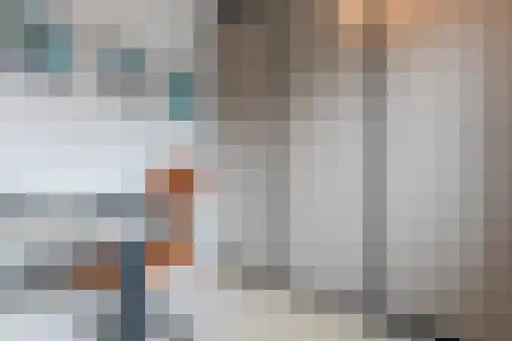 Dwingel 22 Steenbergen thumbnail 31
