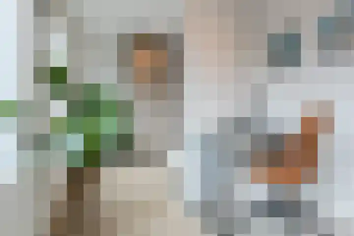 Dwingel 22 Steenbergen thumbnail 32