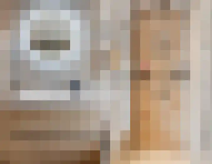 Dwingel 22 Steenbergen thumbnail 36