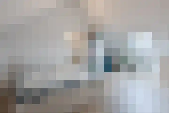 Dwingel 22 Steenbergen thumbnail 37