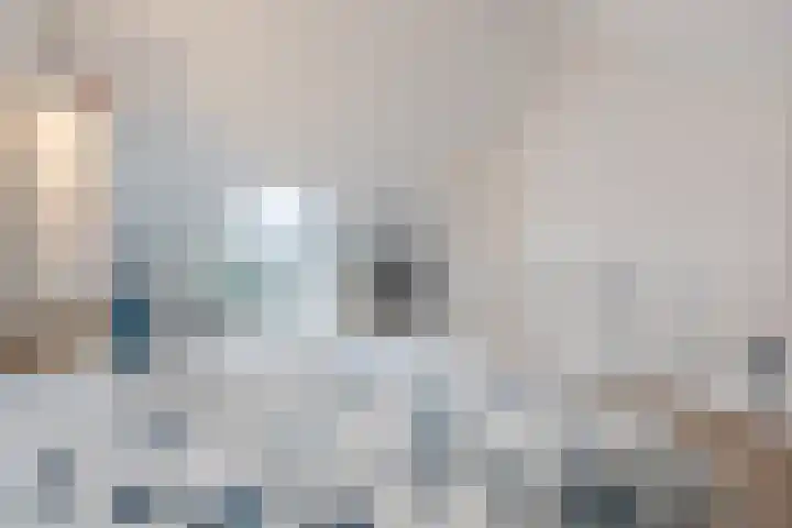 Dwingel 22 Steenbergen thumbnail 38