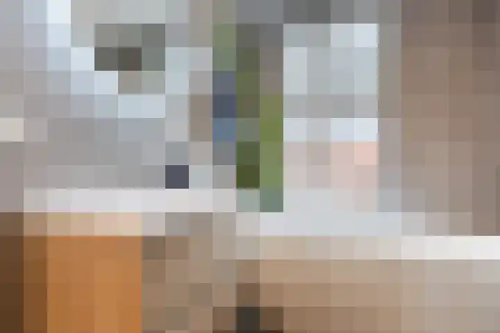 Dwingel 22 Steenbergen thumbnail 4