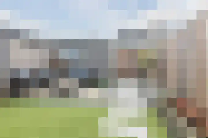 Dwingel 22 Steenbergen thumbnail 41