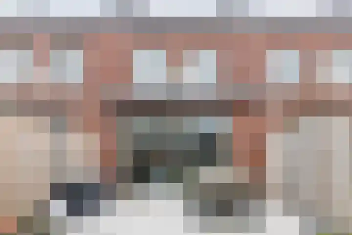 Dwingel 22 Steenbergen thumbnail 44