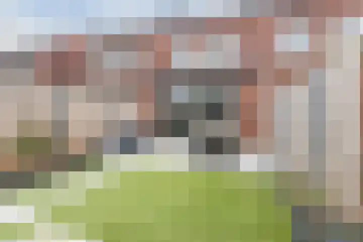 Dwingel 22 Steenbergen thumbnail 45