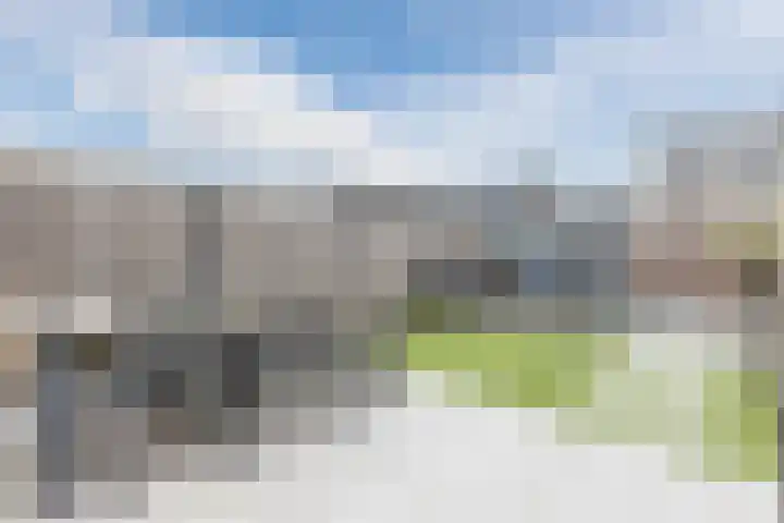 Dwingel 22 Steenbergen thumbnail 5