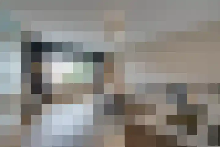 Dwingel 31 De Goorn thumbnail 12
