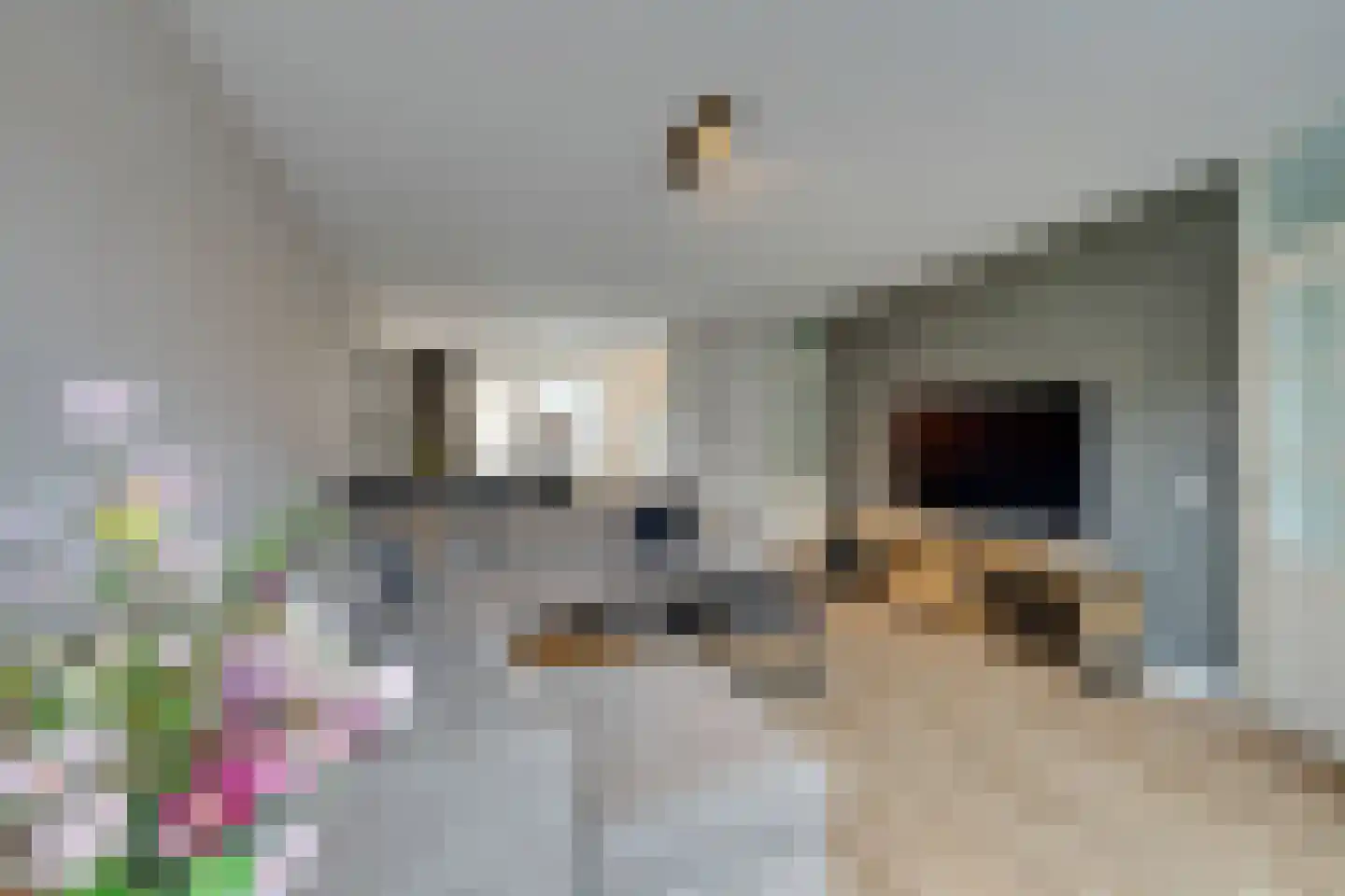 Dwingel 31 De Goorn thumbnail 13