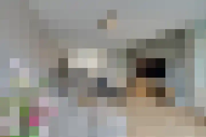 Dwingel 31 De Goorn thumbnail 13