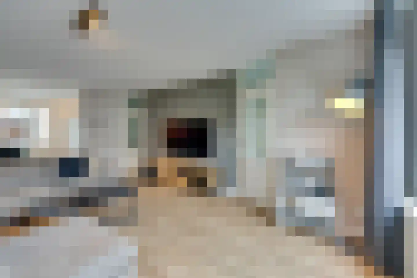 Dwingel 31 De Goorn thumbnail 14