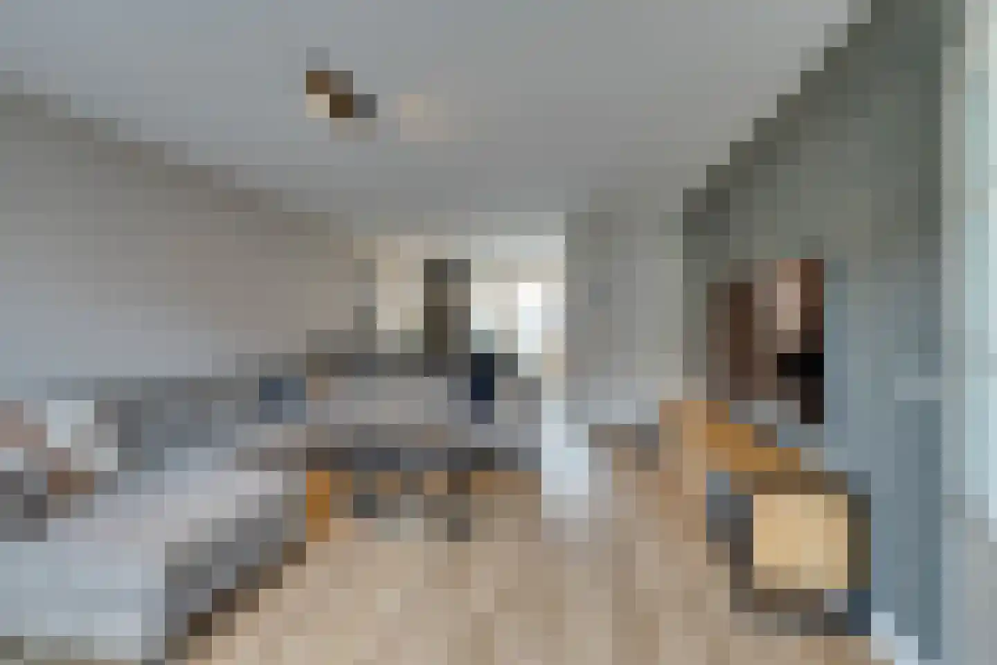 Dwingel 31 De Goorn thumbnail 16