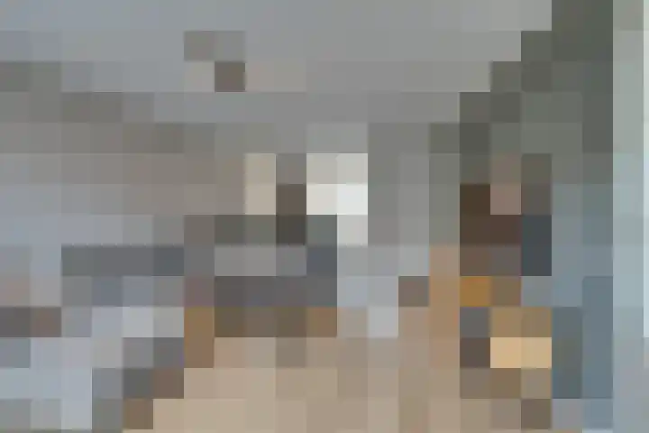 Dwingel 31 De Goorn thumbnail 16