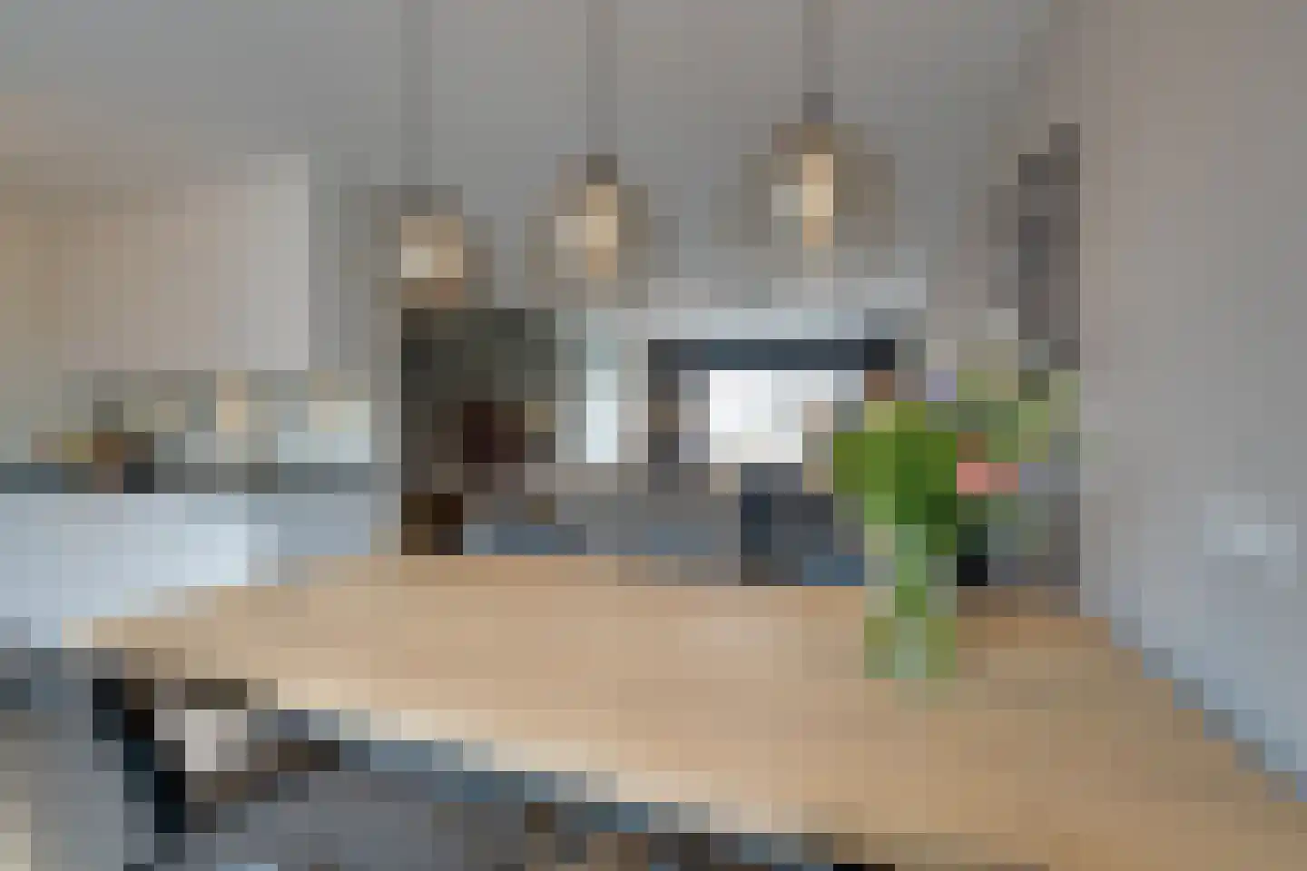 Dwingel 31 De Goorn thumbnail 20