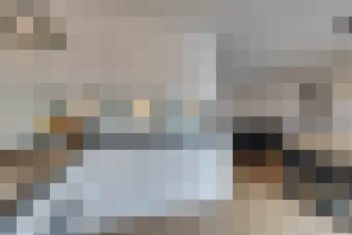 Dwingel 31 De Goorn thumbnail 24