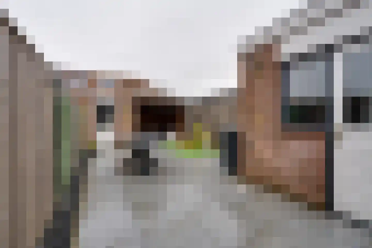 Dwingel 31 De Goorn thumbnail 26