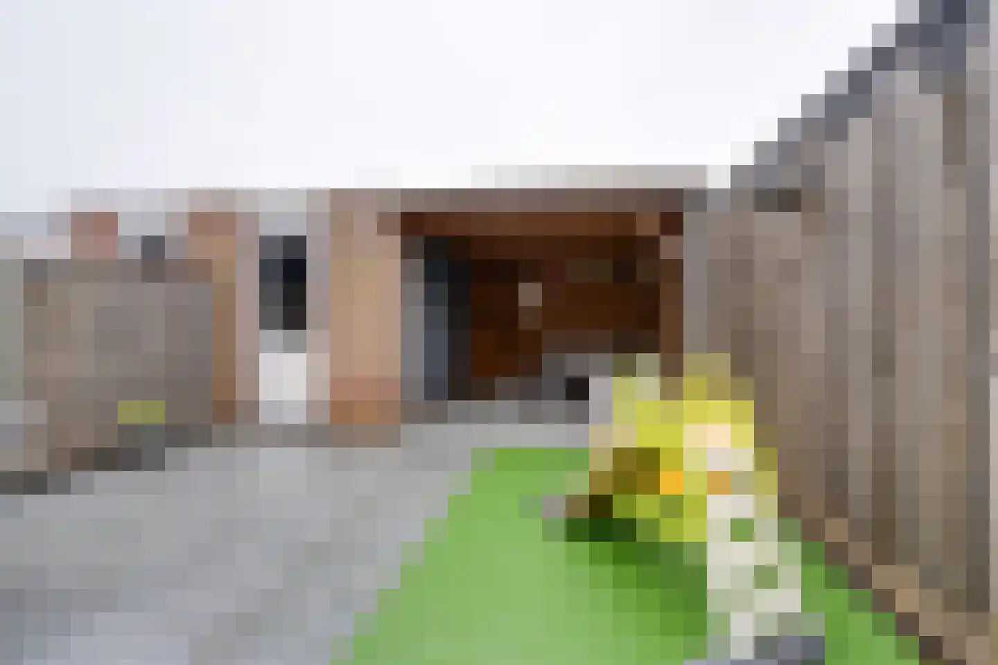Dwingel 31 De Goorn thumbnail 27