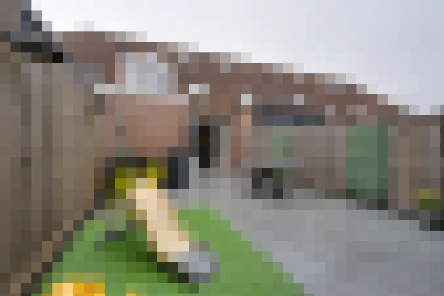 Dwingel 31 De Goorn thumbnail 29