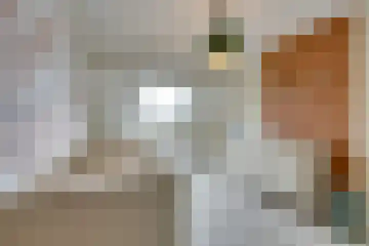 Dwingel 31 De Goorn thumbnail 38