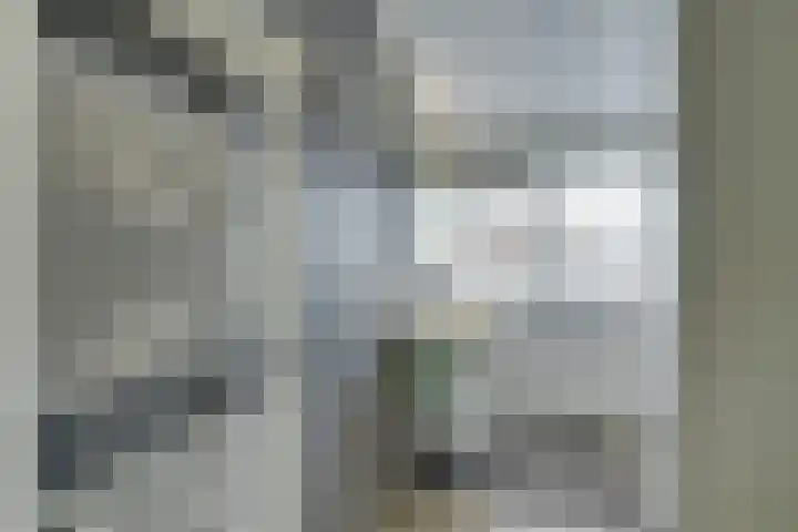 Dwingel 31 De Goorn thumbnail 40