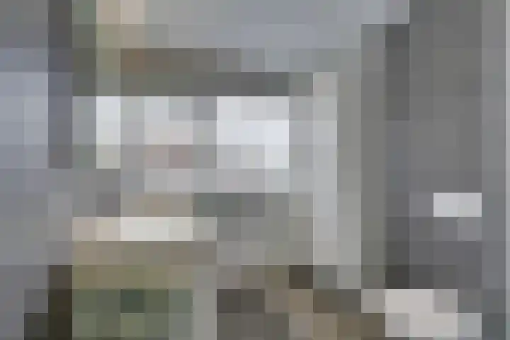 Dwingel 31 De Goorn thumbnail 41