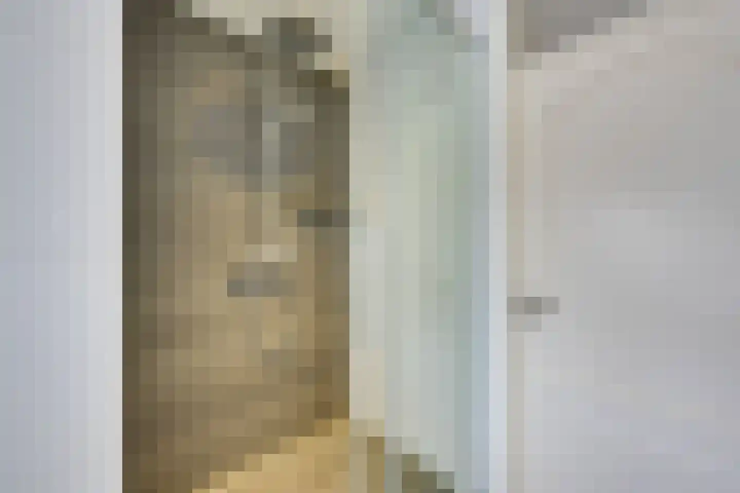 Dwingel 31 De Goorn thumbnail 43
