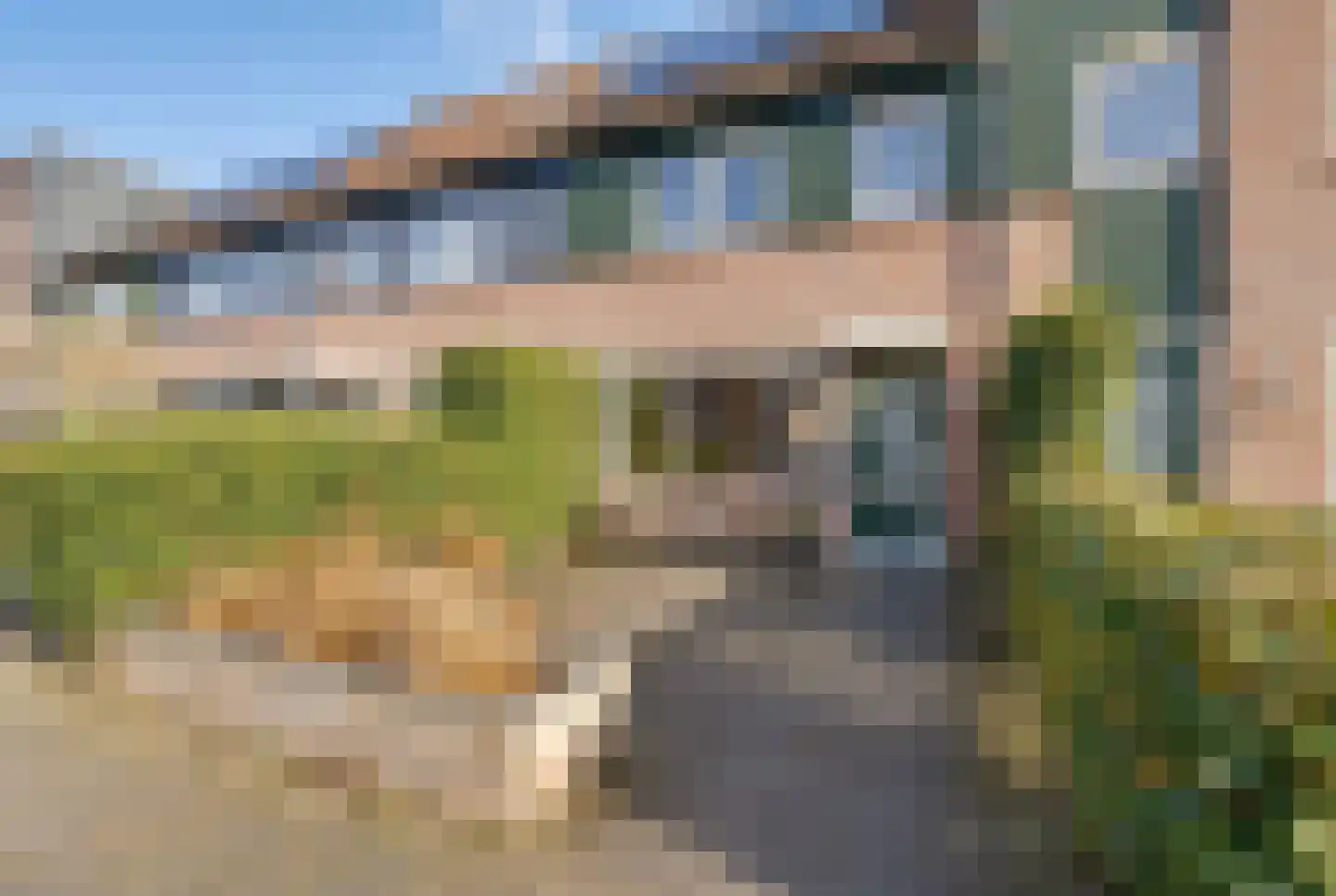 Dwingel 31 De Goorn thumbnail 6