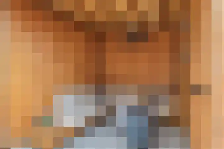 Dwingel 6 Steenbergen thumbnail 28