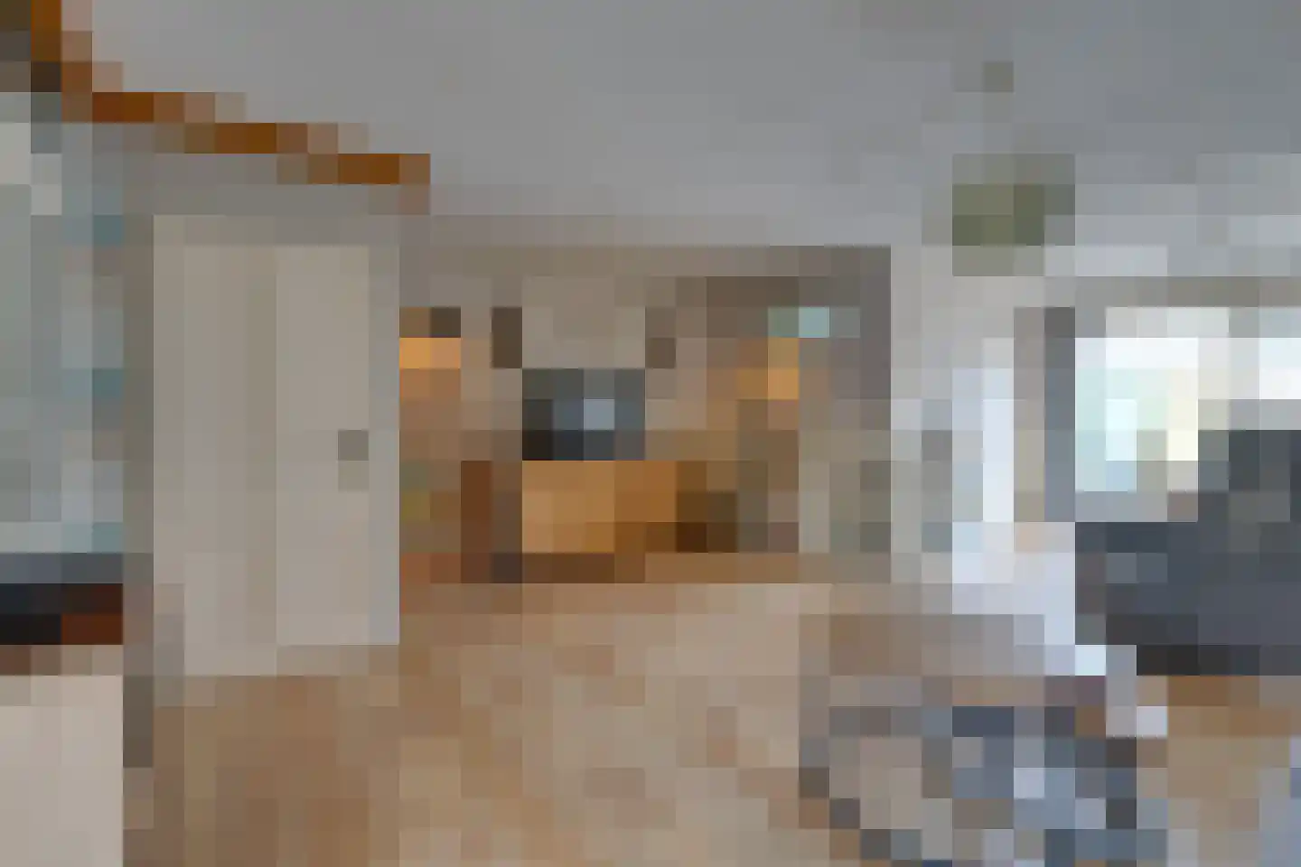 Dwingel 78 De Goorn thumbnail 12
