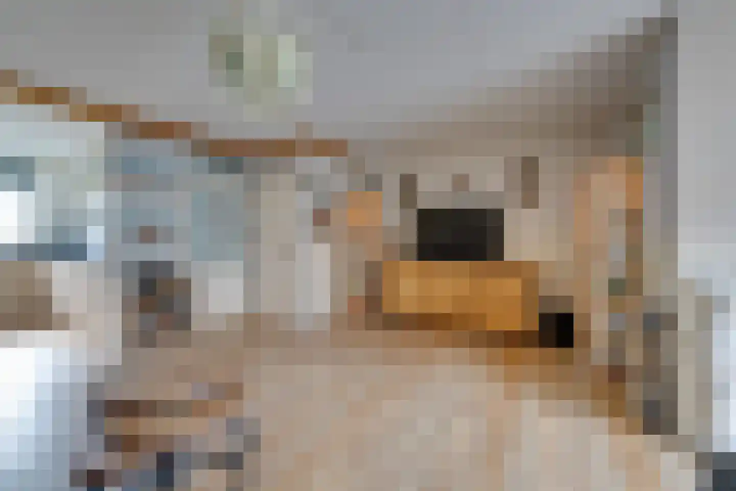 Dwingel 78 De Goorn thumbnail 14